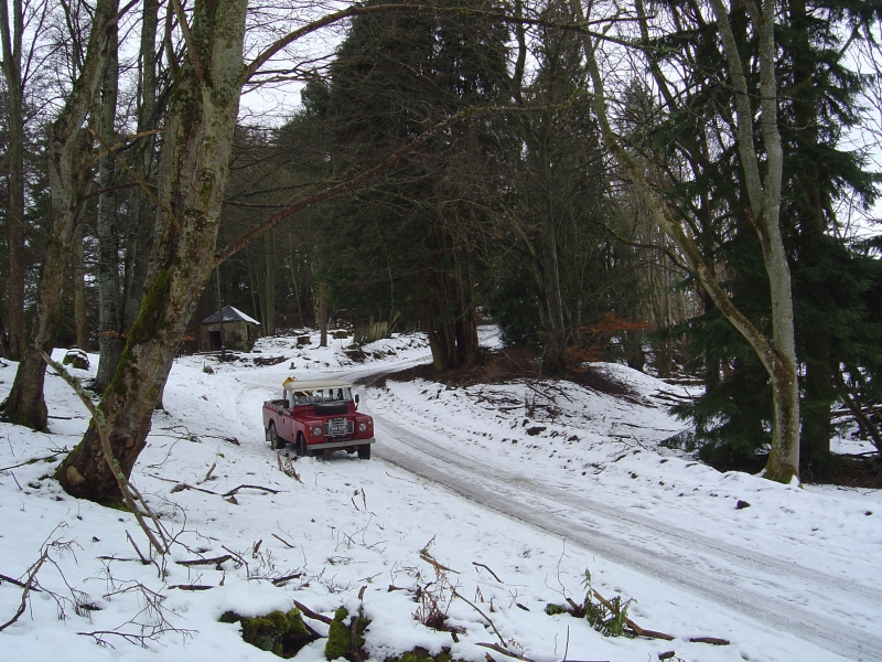 19th February 2009 020